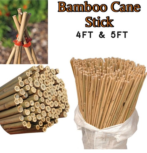 4ft 5ft bamboo canes garden - canes,