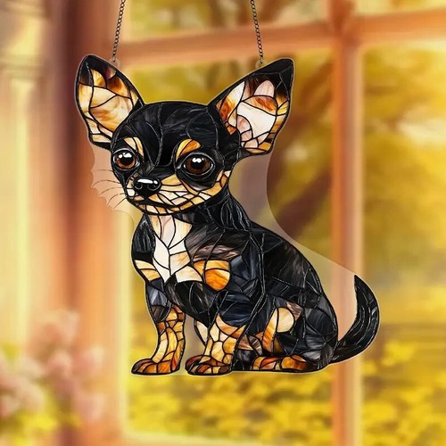 Black puppy chihuahua - puppy,
