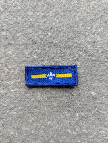 Assistant patrol leader scout - patrol,