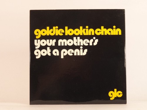 Goldie lookin chain - goldie,