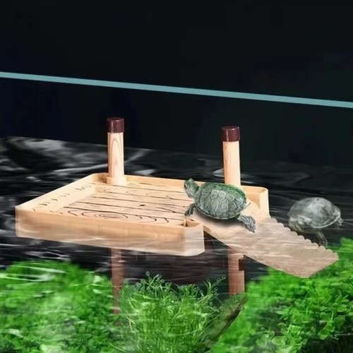 Turtle basking platform ramp - basking,