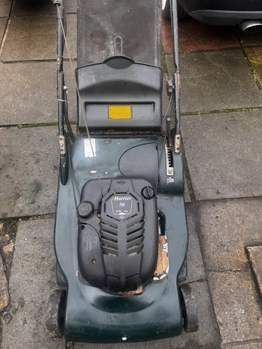 Hayter harrier petrol - hayter, 56