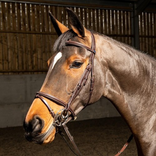 John whitaker valencia premium - john,
