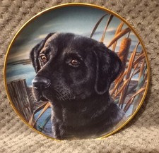 BLACK LABRADOR PLATE MANS BEST