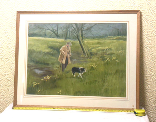 Border collie farmer and - border,