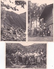 * BIRD MOUNTAINS / ACUTE /