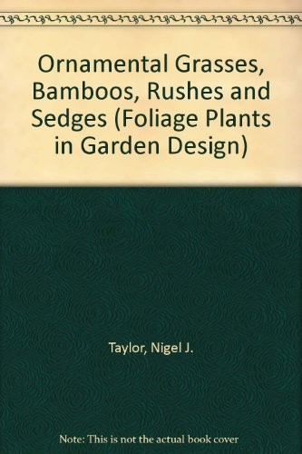 Ornamental grasses bamboo - ornamental,
