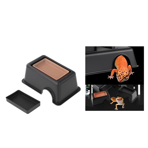 Reptile hideaway box - reptile,