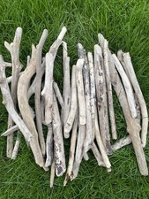 30 + Driftwood Pieces Art 