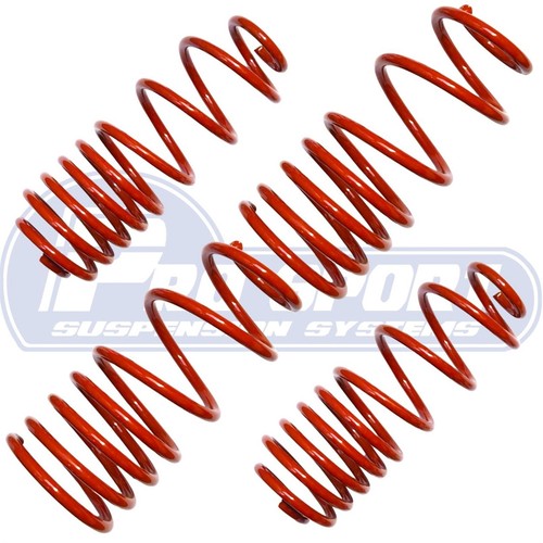 Pro sport lowering springs - lowering,