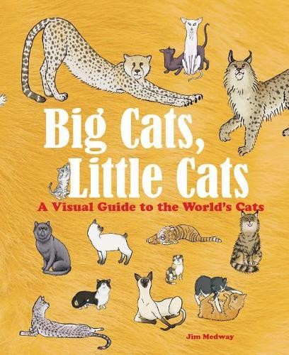 Big cats little - cats,,