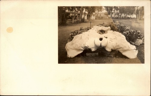 Rppc morro bay - morro, whale