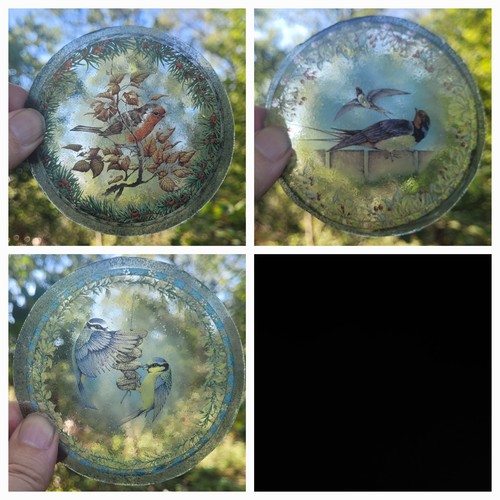 Stained glass bird roundels - 3,