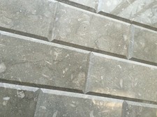 6x12 Seagrass Limestone Polished and Beveled Backsplash Wall Tile Kitchen Bath