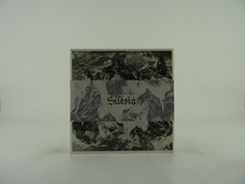 JENIFEREVER SILESIA (253) 9