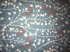 7.52x1.40m w of duck egg blue