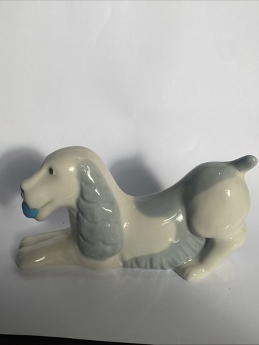 Wade blow spaniel - wade,