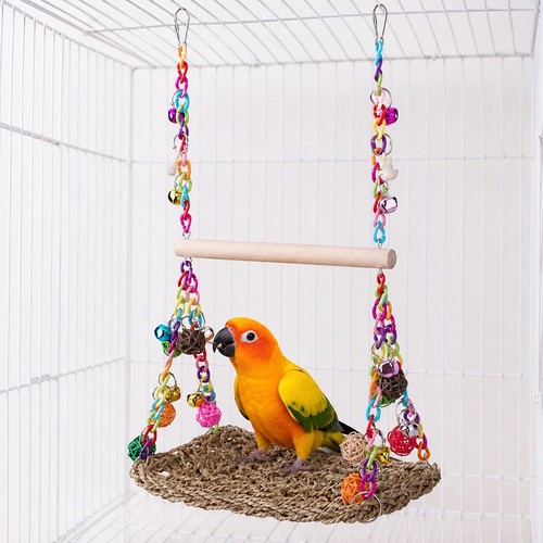 Parrot swing african - swing,