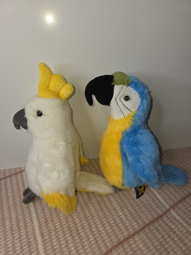 Ravensden cockatoo and macaw