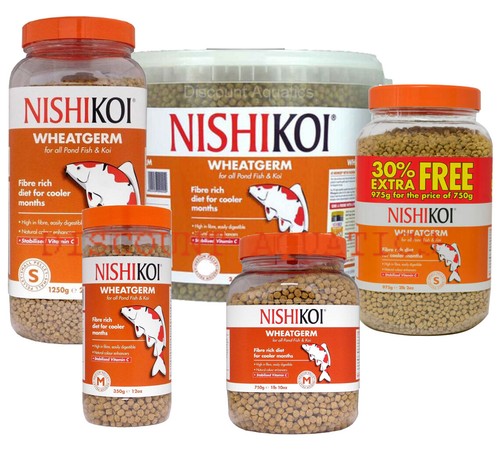 Nishikoi wheatgerm winter - nishikoi, koi