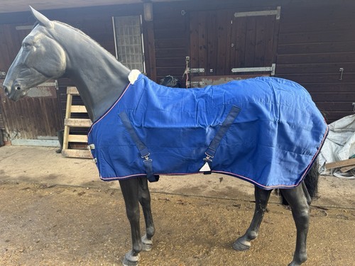 Shires show rug - 6’0, neck