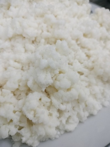 Tibetan culture milk kefir - 5g,