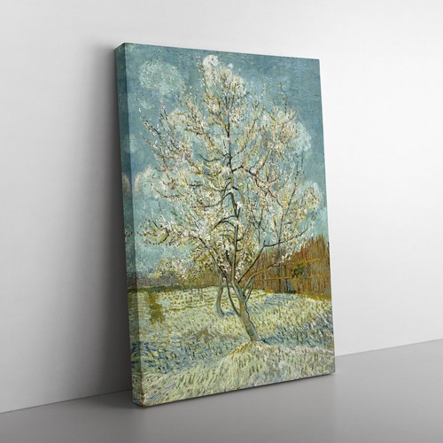 The pink peach tree vincent - the,