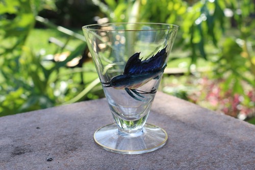Vintage footed clear cocktail - vintage,