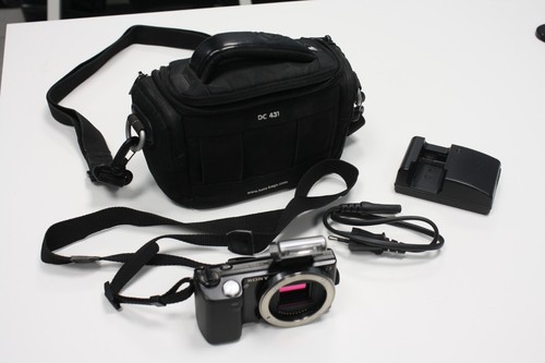 Sony nex mirrorless - sony,