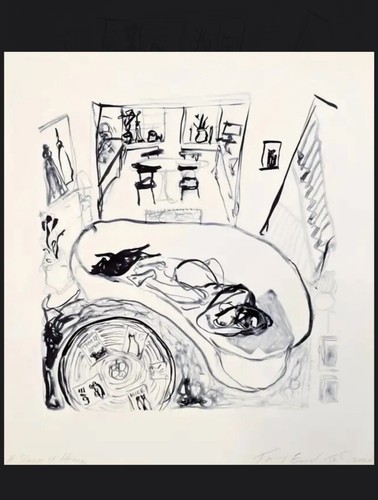 Tracey emin sleep home - a,