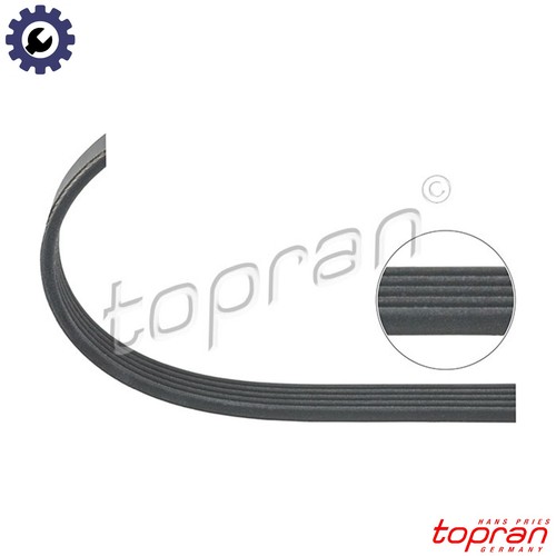 Vribbed belt 401 218 - belt, for