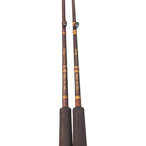 Vtg daiwa fishing rod - rod, 2x