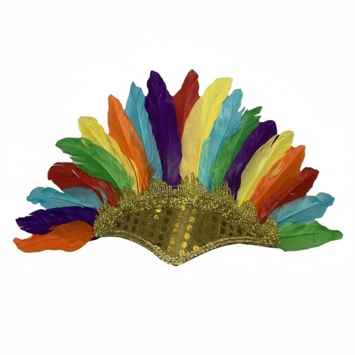 Feather headdress colorful - feather,