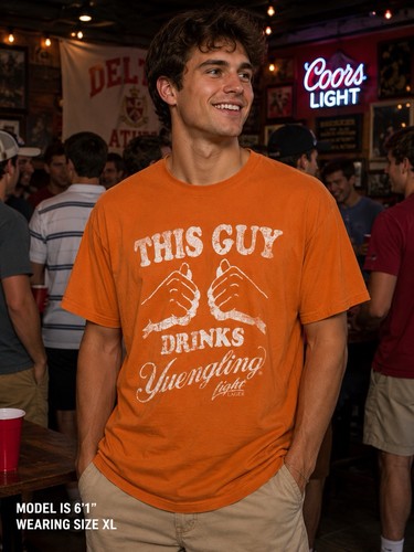 Yuengling light lager beer - yuengling,