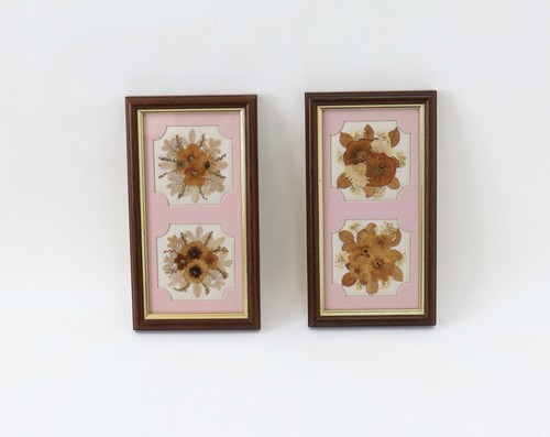 Vintage pressed dried - 2,