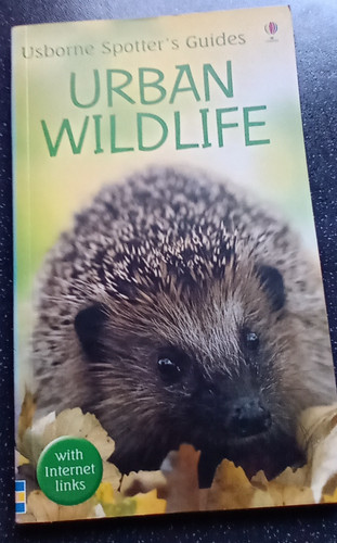 Urban wildlife usborne - wildlife, (usborne