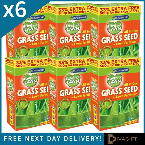 Grass seeds 500g - x, lawn