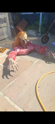 Halloween crawling skeleton - crawling,