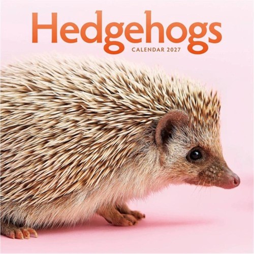 Hedgehogs 2027 large month - month, to