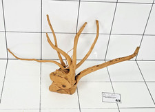 Premium Natural Aquarium Red