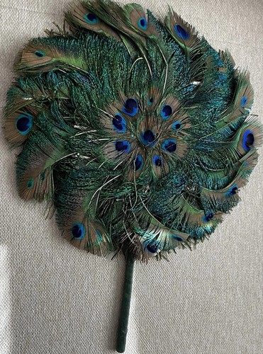 Antique peacock feather hand - peacock,