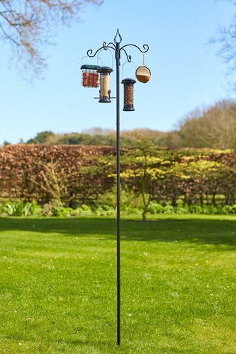 Banquet bird feeding station - banquet,