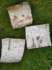 Silver Birch Bark Sheets x 3