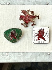 Dragon Rally badges 1966/1967 (plus Dragon Badge) 