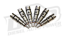 DAP 150HP Performance