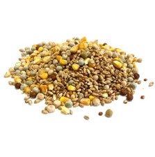 Mixed pigeon corn - pigeon, for