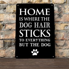 Home is where the dog hair