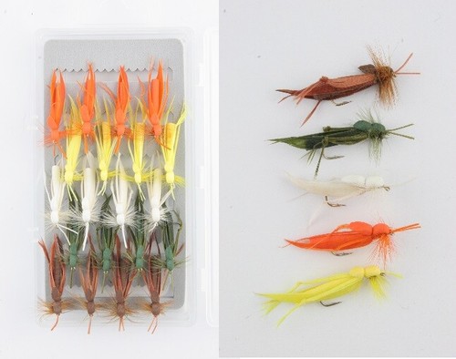Grasshopper assorted colours - assorted,