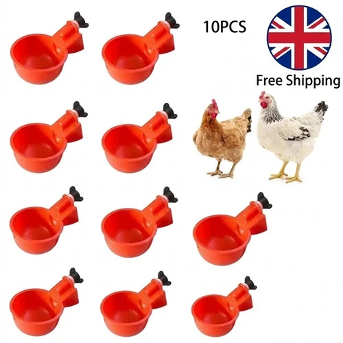 Automatic chicken water cup - water,