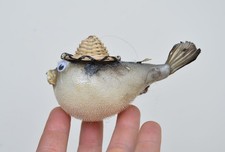 Ornamental taxidermy puffer - taxidermy,